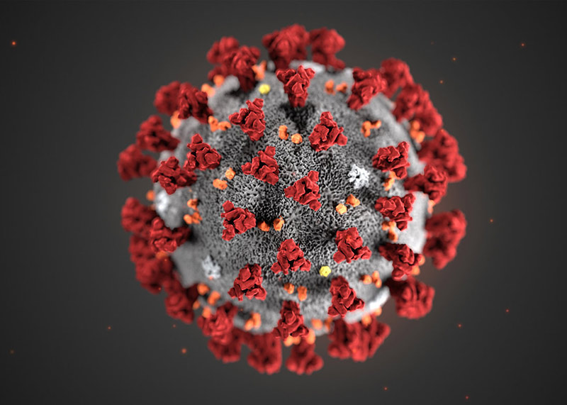 Virus under microscope
